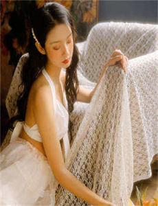 《大唐女将樊梨花电视剧》